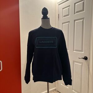 Lacoste Sweater (Medium)